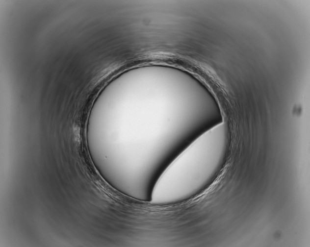 X0000100471209200806130747
