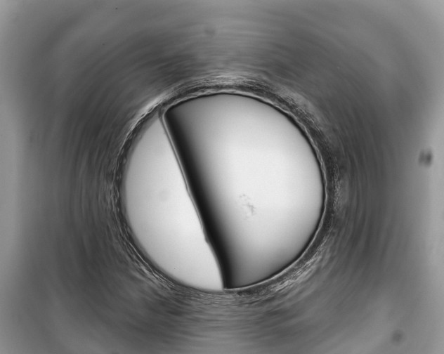 X0000100471210200806130747
