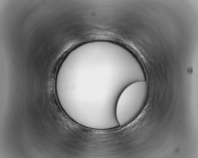 X0000100471211200806130747