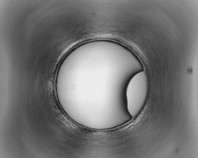 X0000100471212200806130747