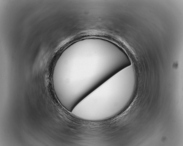 X0000100471213200806130747