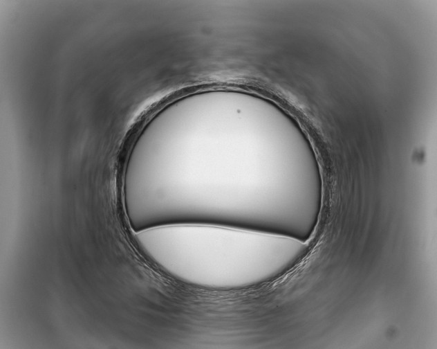 X0000100471214200806130747