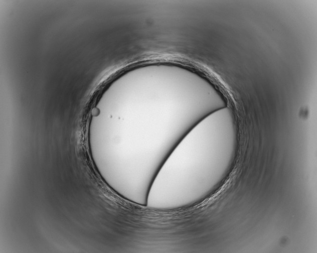 X0000100471215200806130747