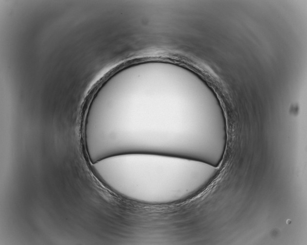 X0000100471216200806130747