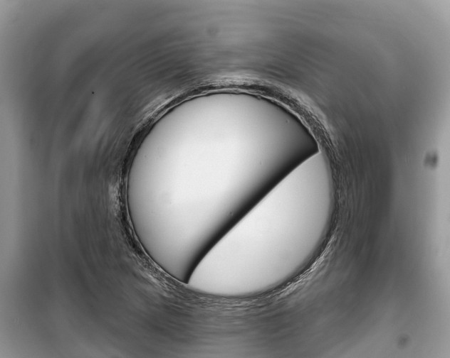 X0000100471217200806130747