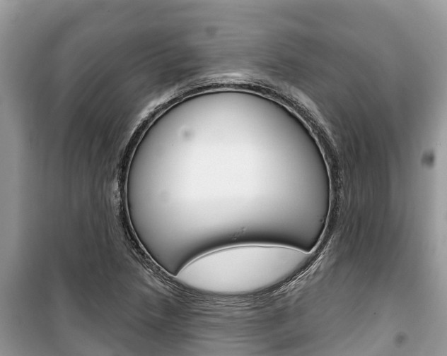 X0000100471218200806130747