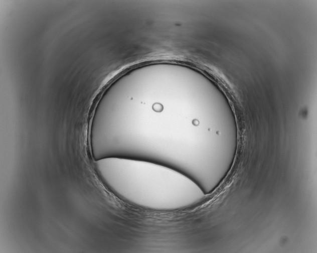 X0000100471220200806130747