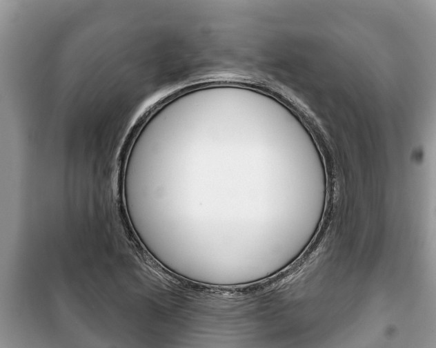 X0000100471222200806130747