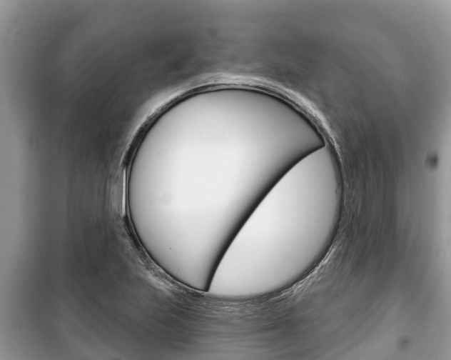 X0000100471223200806130747