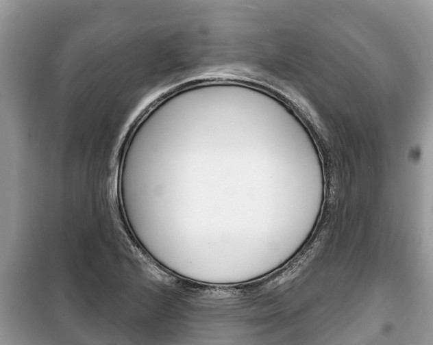 X0000100471224200806130747