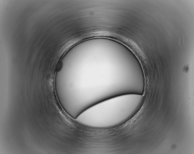 X0000100471225200806130747
