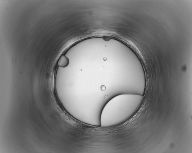 X0000100471227200806130747