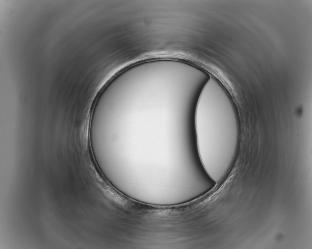 X0000100471228200806130747