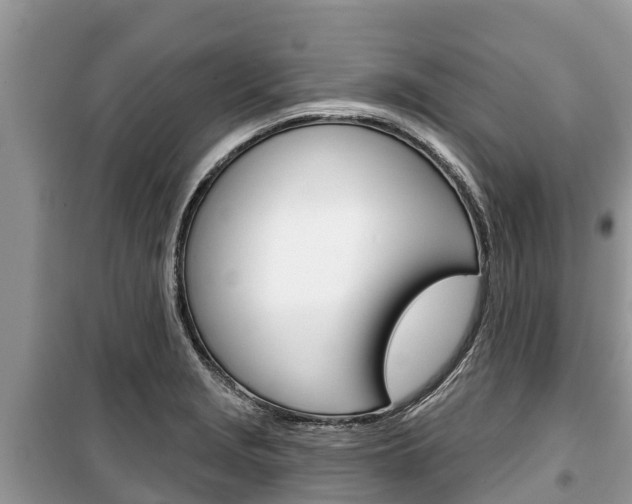 X0000100471229200806130747