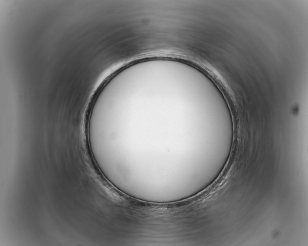 X0000100471230200806130747