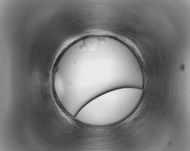 X0000100471231200806130747
