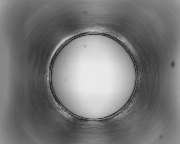 X0000100471232200806130747