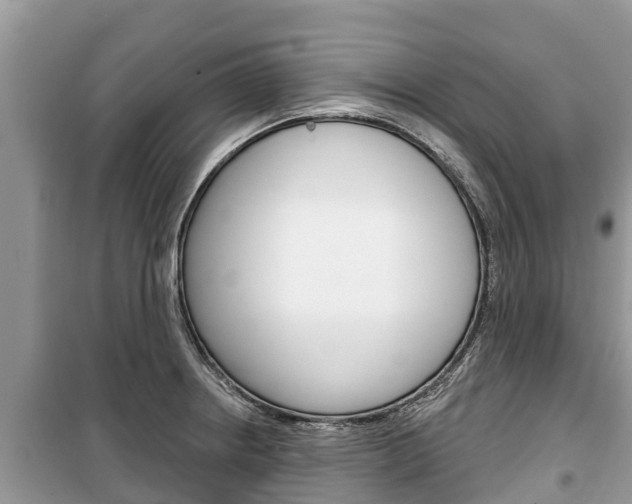 X0000100471234200806130747