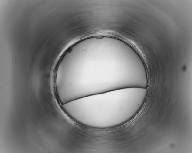 X0000100471235200806130747