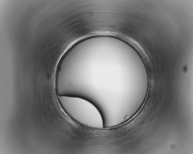 X0000100471236200806130747