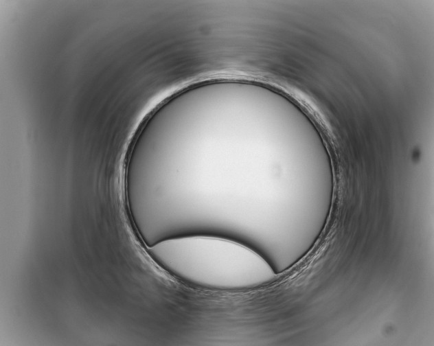 X0000100471238200806130747
