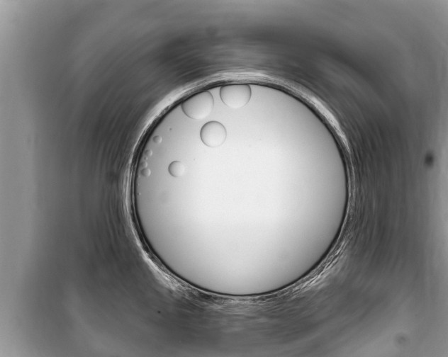X0000100471245200806130748
