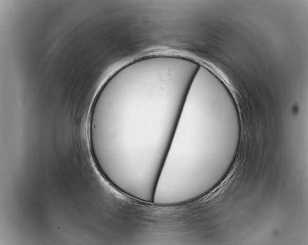 X0000100471247200806130748