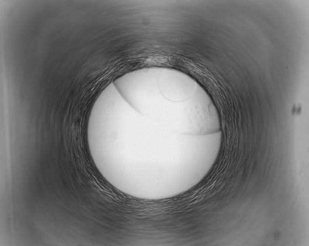 X0000100471250200806130747