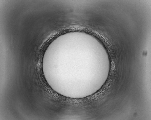 X0000100471254200806130747