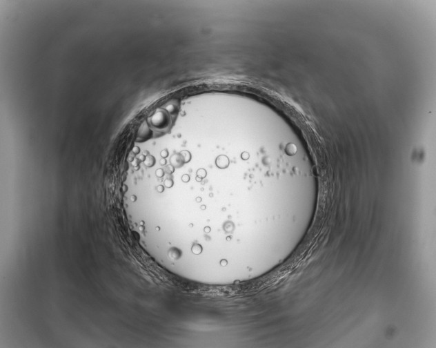 X0000100471255200806130747
