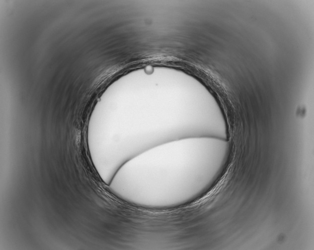 X0000100471257200806130747