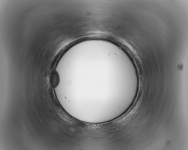 X0000100471259200806130747