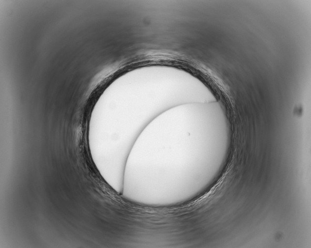 X0000100471261200806130747