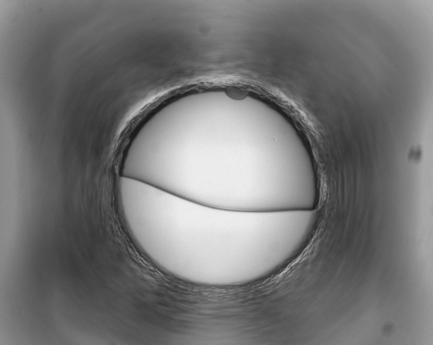 X0000100471262200806130747