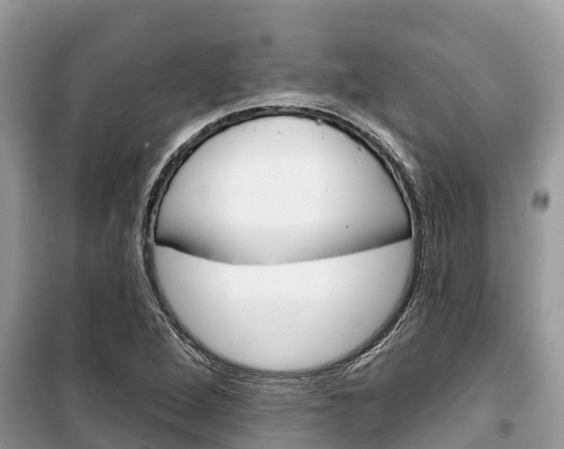 X0000100471264200806130747