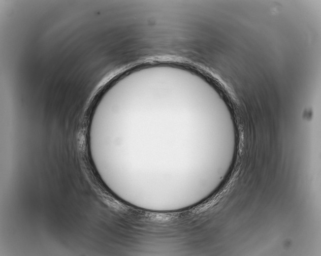 X0000100471266200806130747