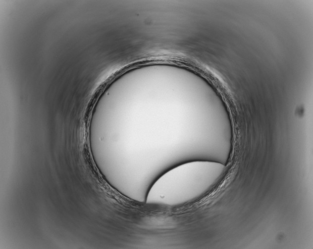X0000100471267200806130747