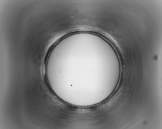 X0000100471269200806130747