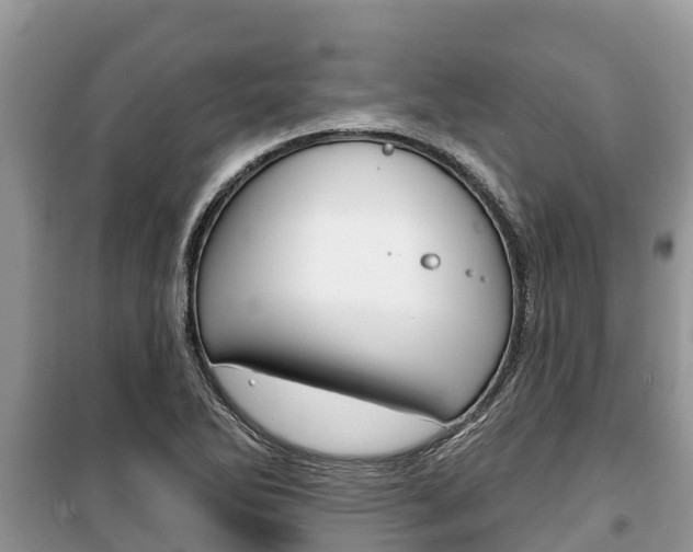X0000100471270200806130747
