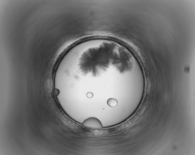 X0000100471271200806130746