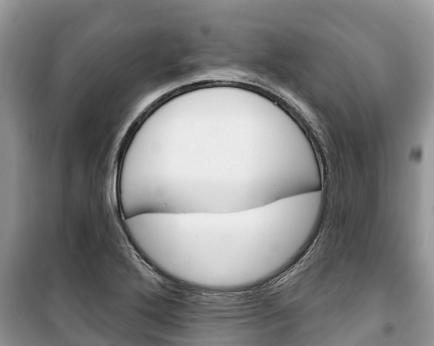 X0000100471272200806130746