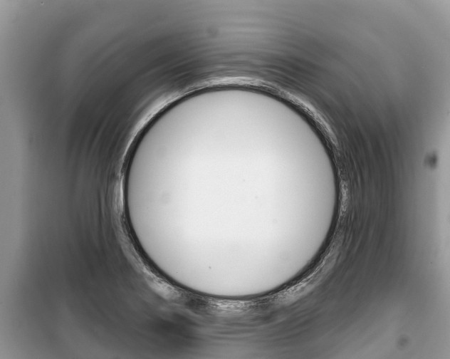 X0000100471274200806130746