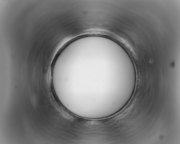 X0000100471275200806130746