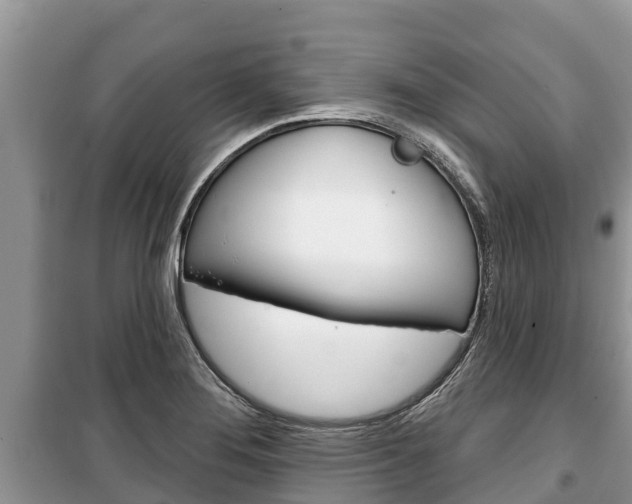 X0000100471276200806130746