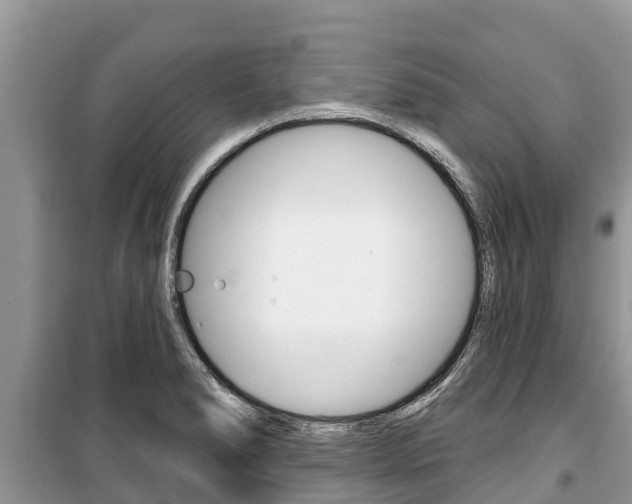 X0000100471278200806130746