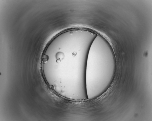 X0000100471279200806130746