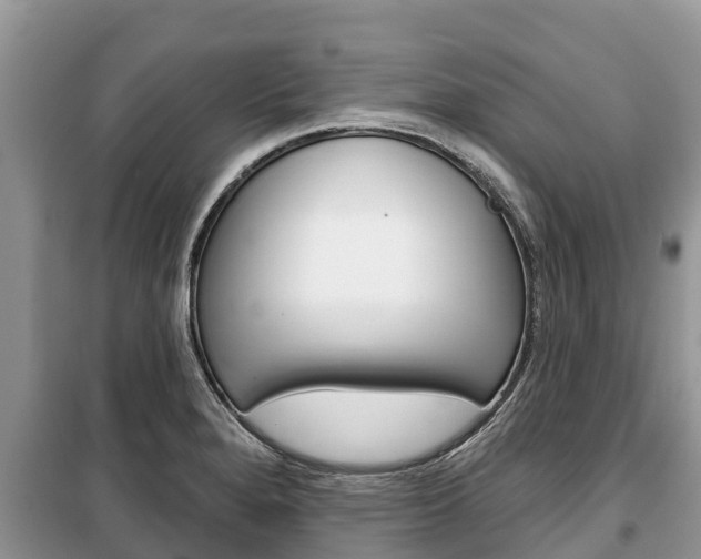 X0000100471280200806130746