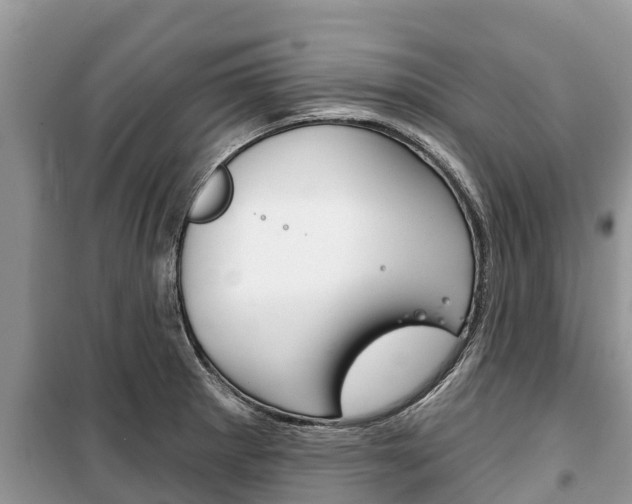X0000100471281200806130746