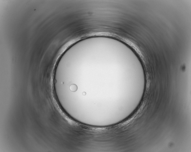 X0000100471282200806130746