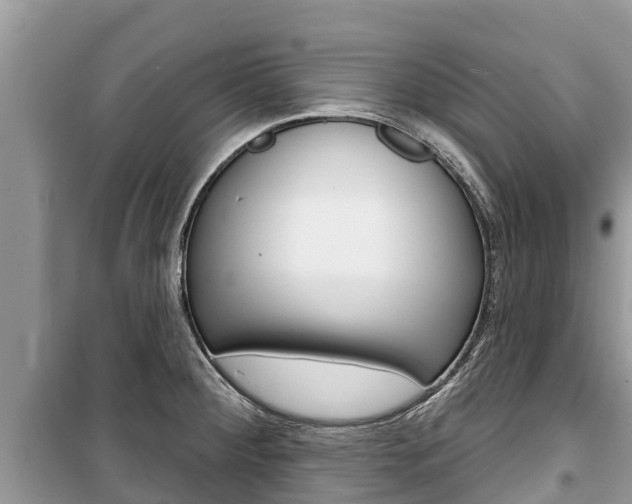 X0000100471284200806130746